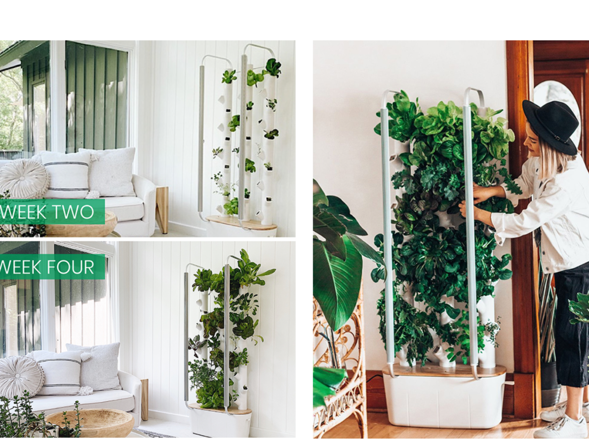 HOME GARDENS ~ The best of best gift and innovation of 2020.