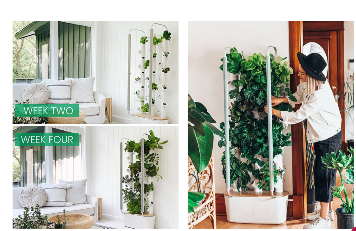 HOME GARDENS ~ The best of best gift and innovation of 2020.